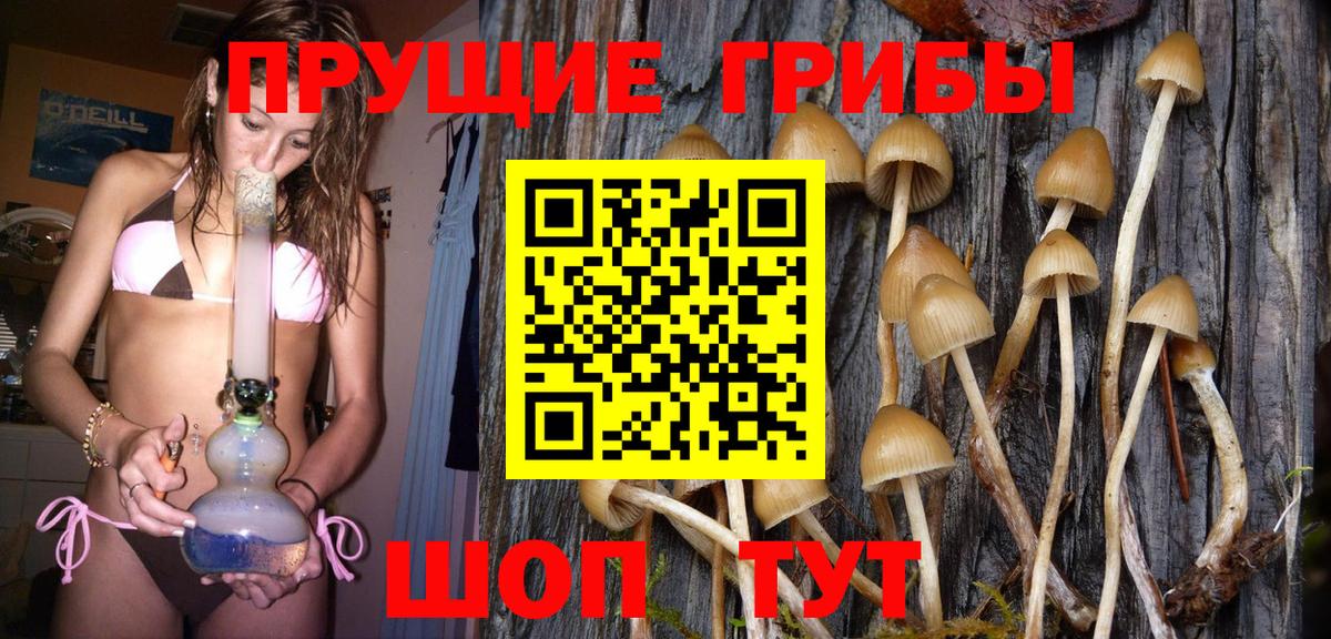 Галлюциногенные грибы мицелий  как найти   Артёмовский  Вход с VPN 
